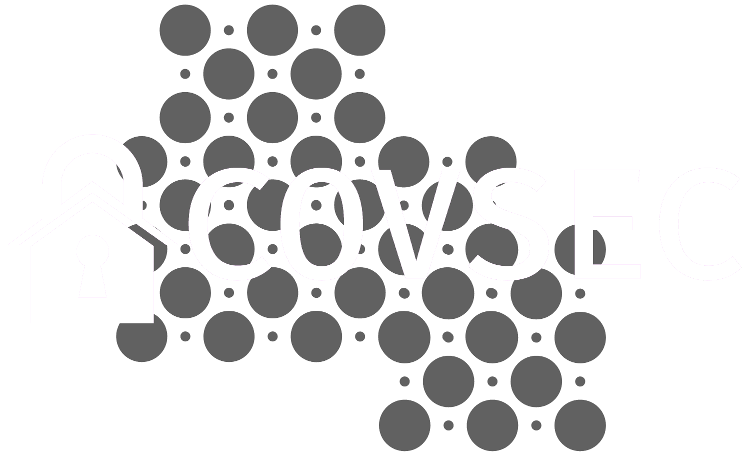 Covert Security logo